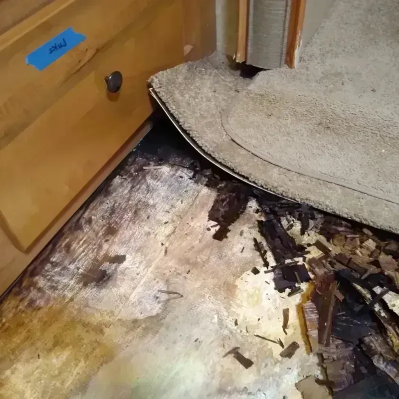 Wood Floor Water Damage in Grant County, NE